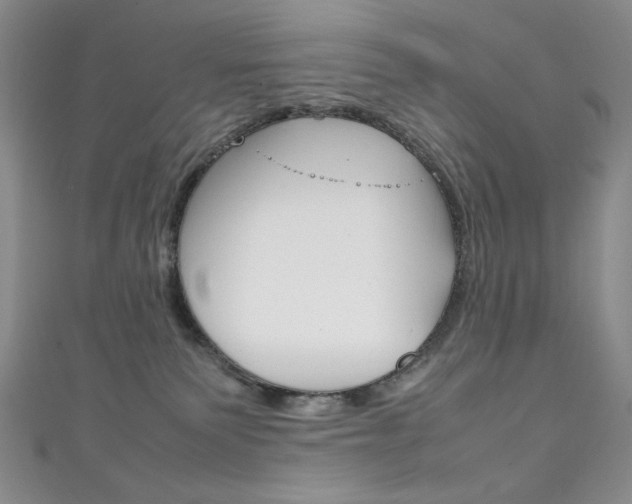 X0000111150135200906301045