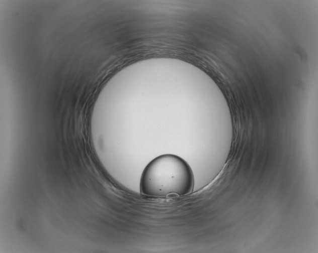 X0000111150136200906301045