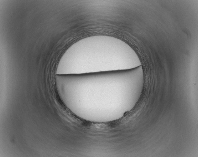 X0000111150137200906301045