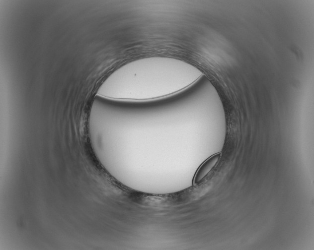 X0000111150139200906301045