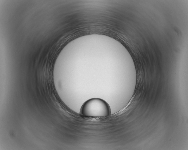 X0000111150140200906301045