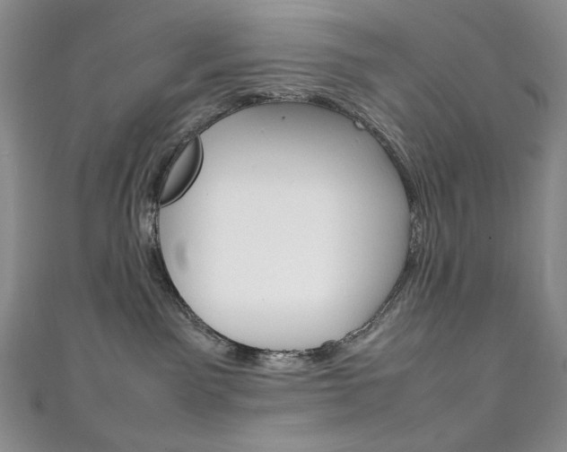 X0000111150141200906301045