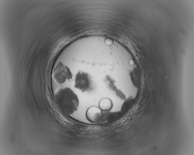 X0000111150145200906301044