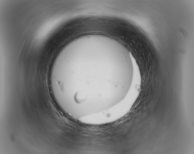 X0000111150146200906301045