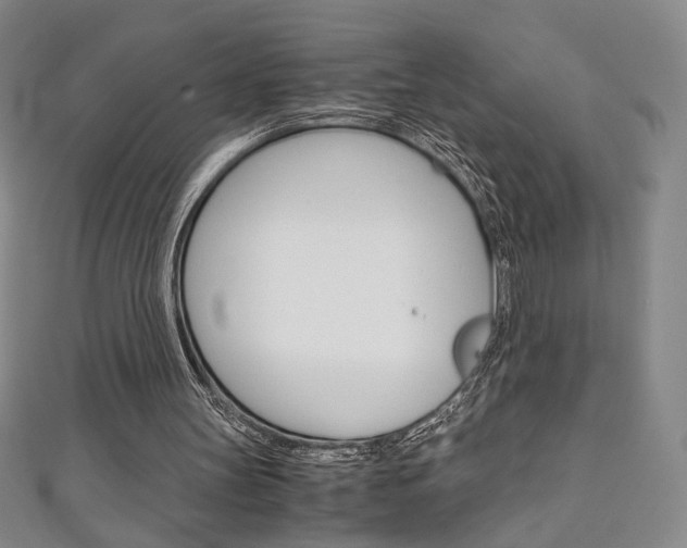X0000111150147200906301045