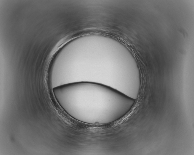 X0000111150150200906301045