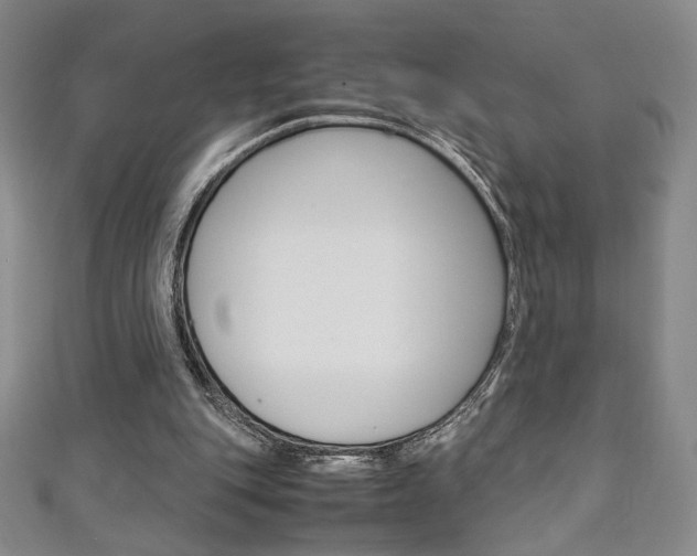 X0000111150151200906301045