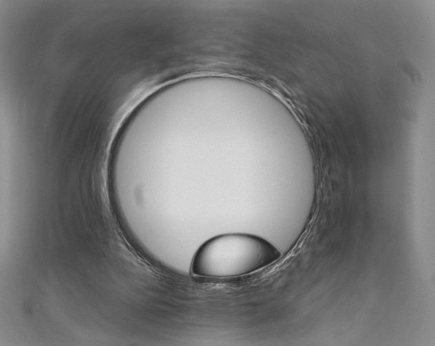 X0000111150152200906301045