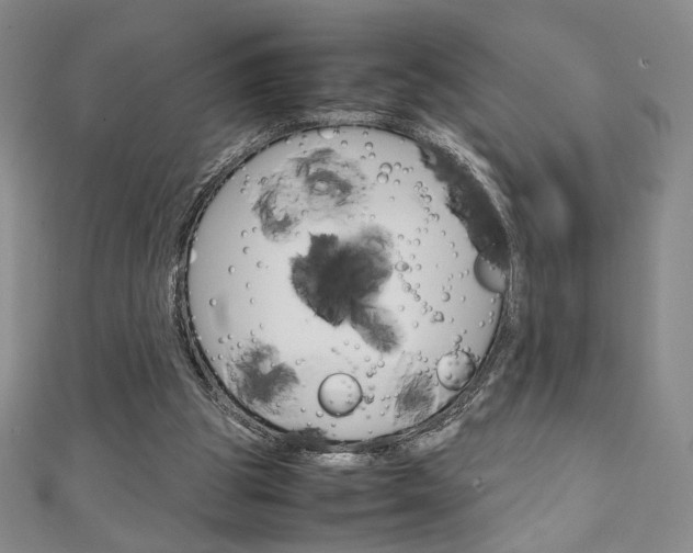 X0000111150153200906301045
