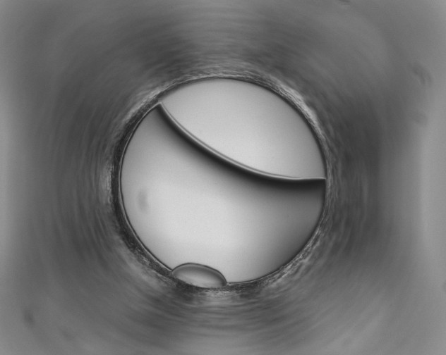 X0000111150154200906301045