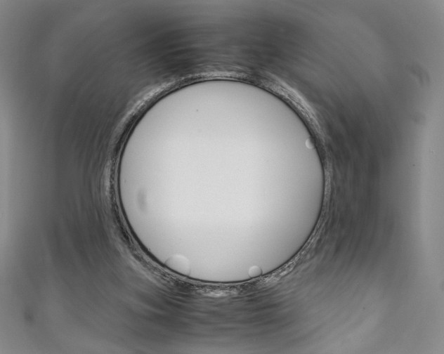 X0000111150155200906301045