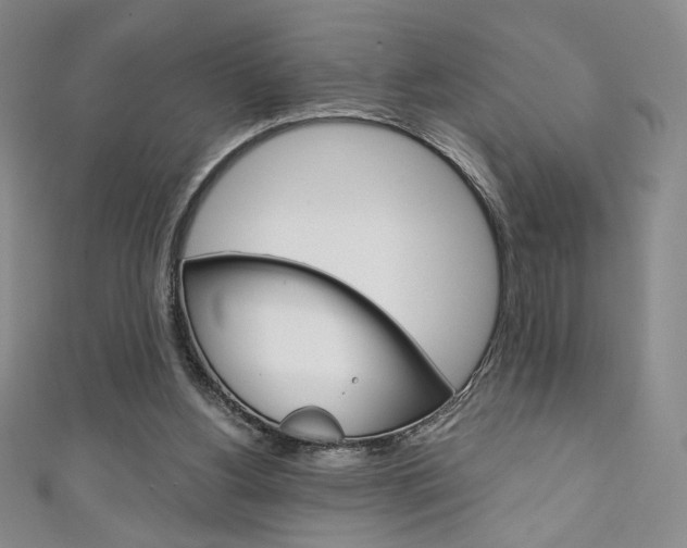 X0000111150156200906301045