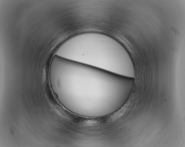 X0000111150158200906301045