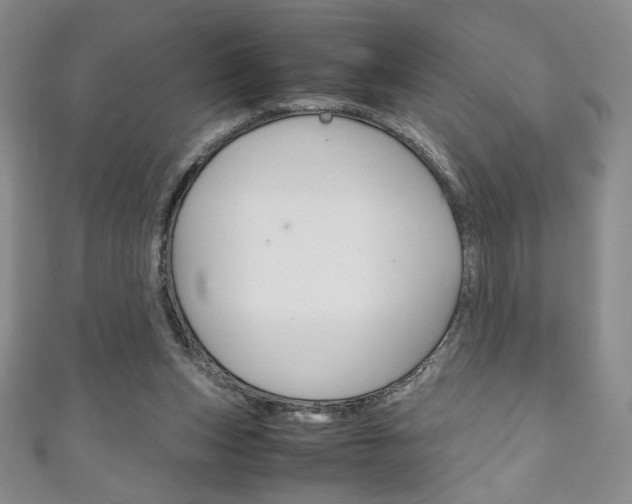 X0000111150159200906301045