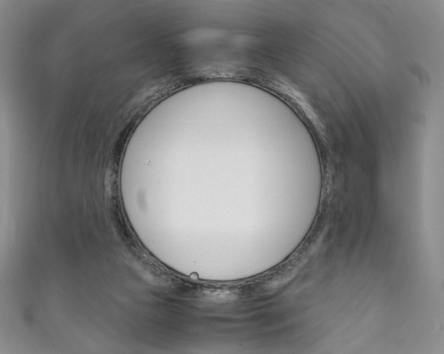 X0000111150161200906301045