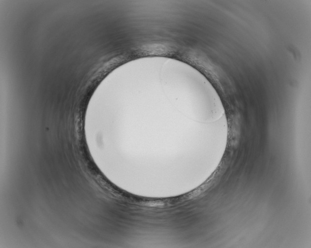 X0000111150162200906301045