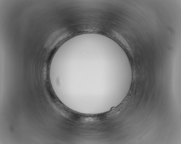 X0000111150163200906301045