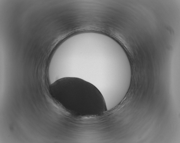 X0000111150164200906301045