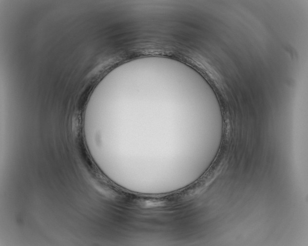 X0000111150165200906301045