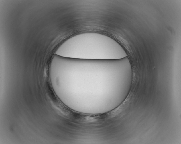 X0000111150166200906301045
