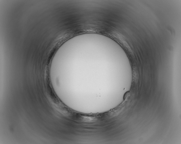 X0000111150167200906301045