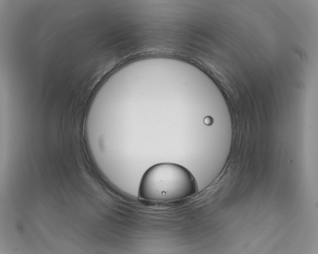 X0000111150168200906301045