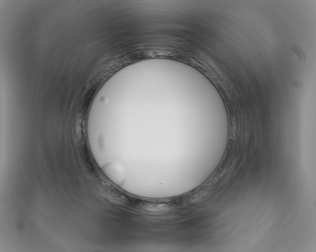 X0000111150169200906301045