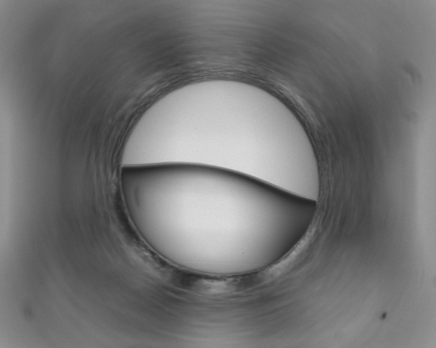 X0000111150170200906301045
