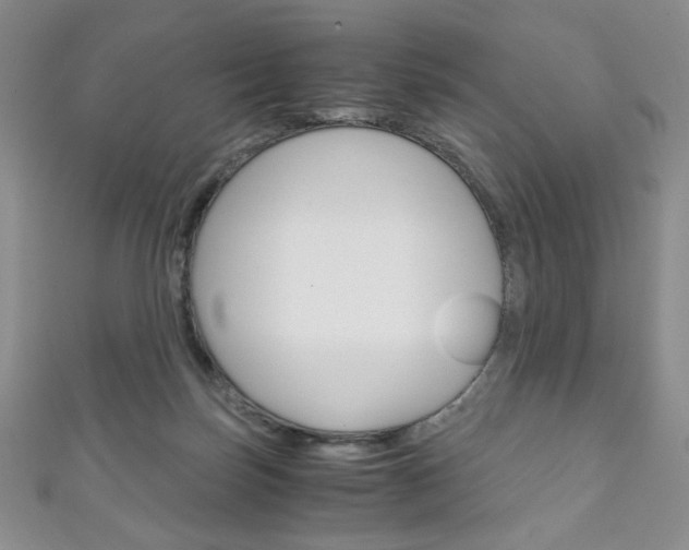 X0000111150171200906301045
