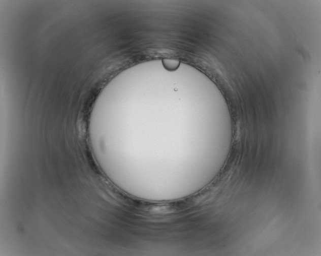 X0000111150173200906301045