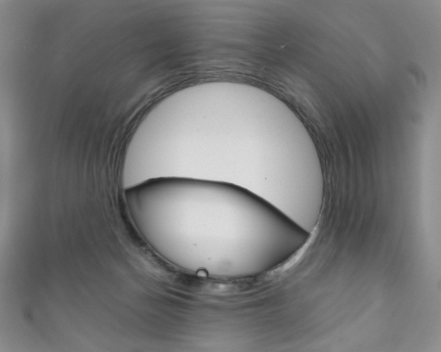 X0000111150174200906301045