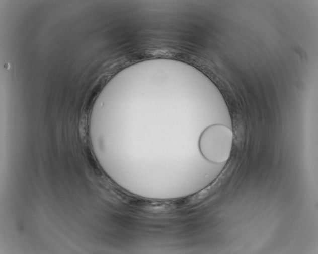 X0000111150175200906301045