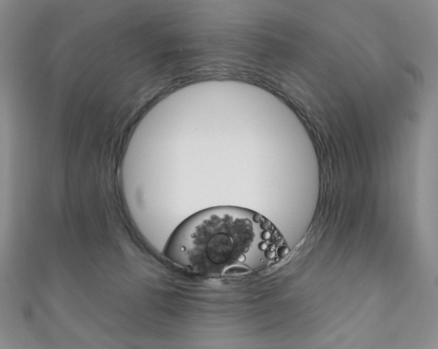 X0000111150176200906301045