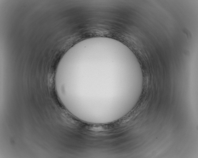 X0000111150177200906301045