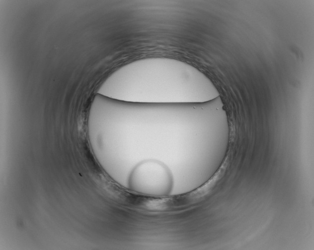 X0000111150178200906301045