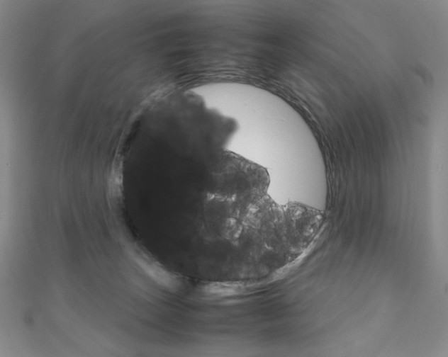 X0000111150179200906301045
