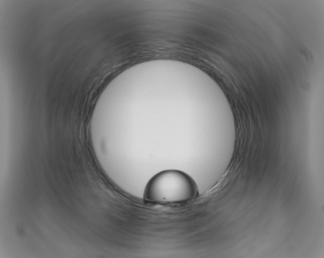 X0000111150180200906301045