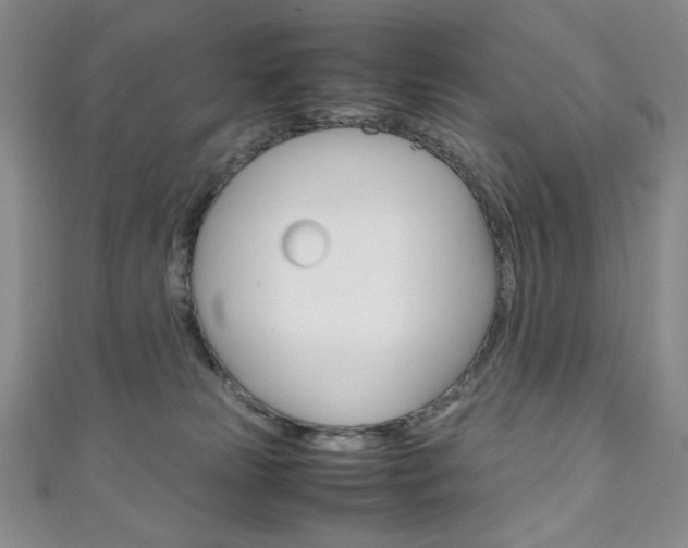 X0000111150181200906301045