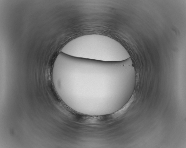 X0000111150182200906301045