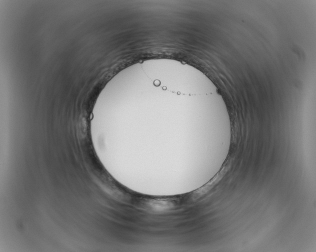 X0000111150183200906301045