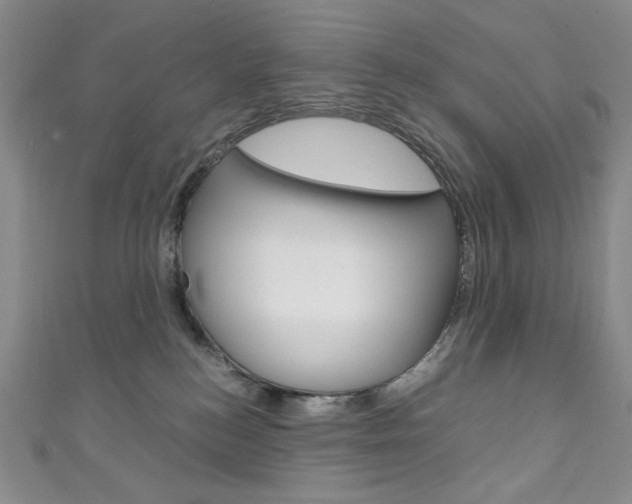 X0000111150184200906301045