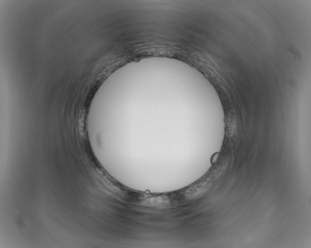 X0000111150185200906301045