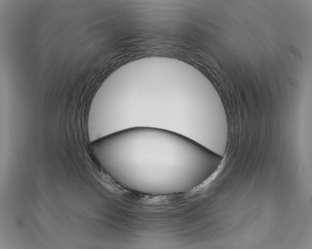 X0000111150186200906301045