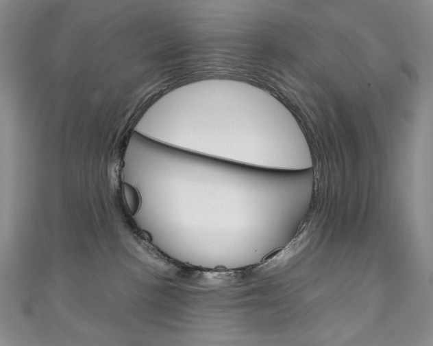 X0000111150188200906301045