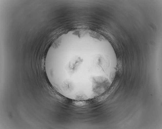 X0000111150189200906301045