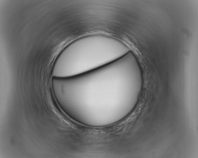 X0000111150193200906301044