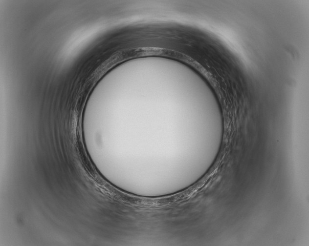 X0000111150194200906301044