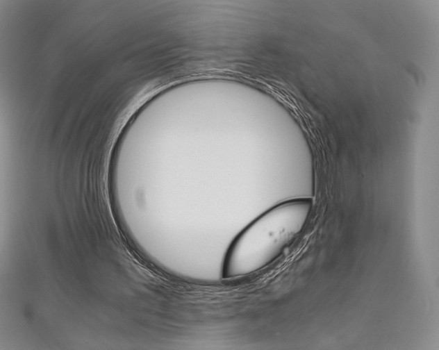 X0000111150195200906301044
