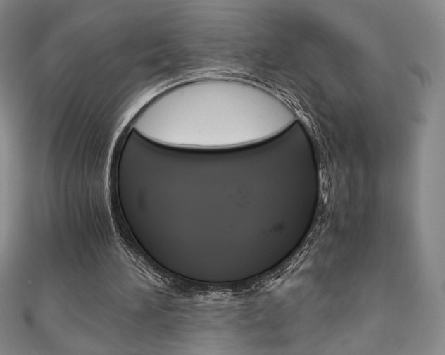 X0000111150196200906301044
