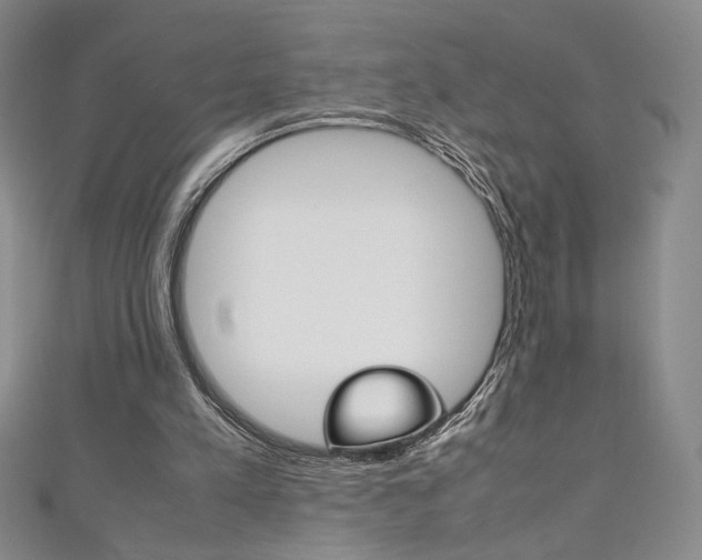 X0000111150197200906301044